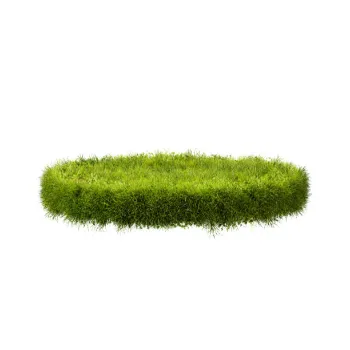 Fresh Natural Grass